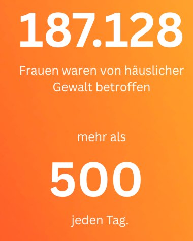 308 Frauen und Mädchen wurden 2024 getötet Und trotzdem sprechen wir von “Einzelfällen” - 2 308 Frauen und Mädchen wurden 2024 getötet Und trotzdem sprechen wir von “Einzelfällen” - 2