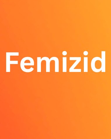 308 Frauen und Mädchen wurden 2024 getötet Und trotzdem sprechen wir von “Einzelfällen” - 7 308 Frauen und Mädchen wurden 2024 getötet Und trotzdem sprechen wir von “Einzelfällen” - 7